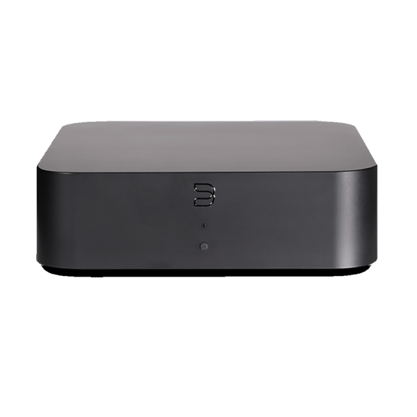 Bluesound (HUB) tinklo įvesties priedas