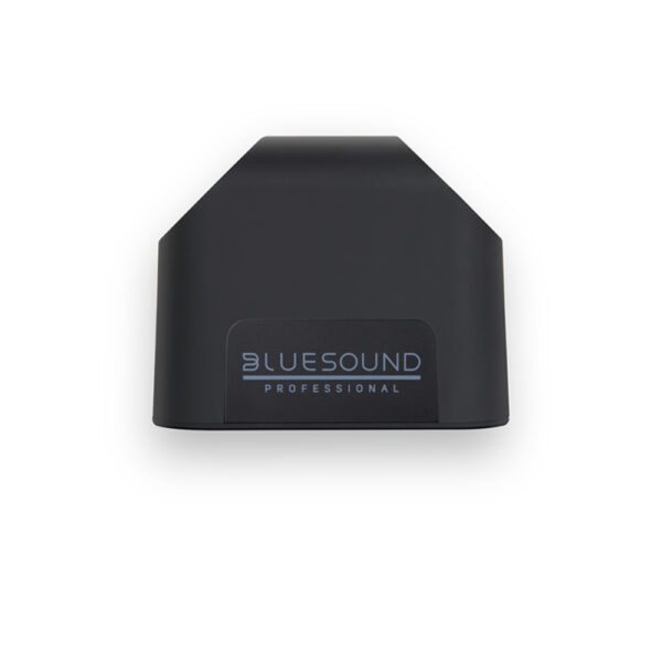 Bluesound (BSP125) tinklo transliacijos garsiakalbis - Image 3