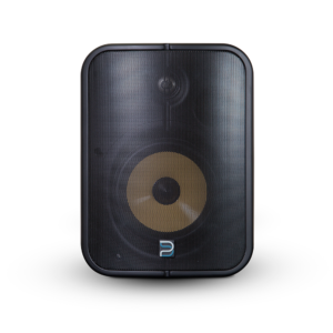 Bluesound (BSP1000) tinklo transliacijos garsiakalbis